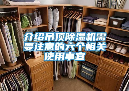 介绍吊顶猫咪成人官网需要注意的六个相关使用事宜