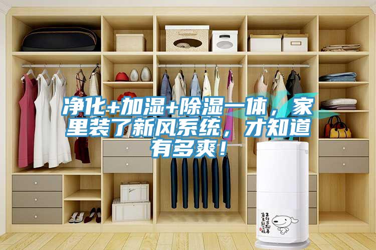 净化+加湿+除湿一体，家里装了新风系统，才知道有多爽！