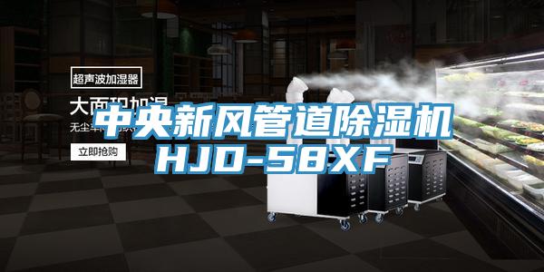 中央新风管道猫咪成人官网HJD-58XF