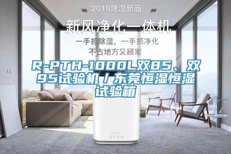 R-PTH-1000L双85、双95试验机／东莞恒湿恒湿试验箱