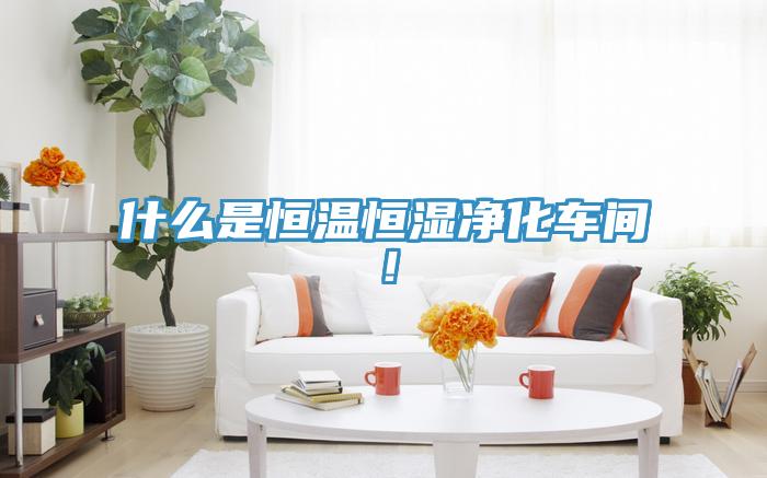 什么是恒温恒湿净化车间！