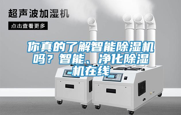 你真的了解智能猫咪成人官网吗？智能、净化猫咪成人官网在线