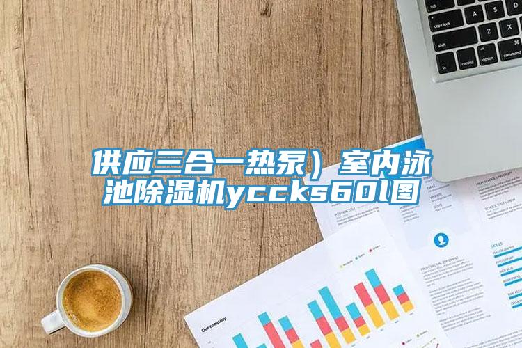 供应三合一热泵）室内泳池猫咪成人官网yccks60l图