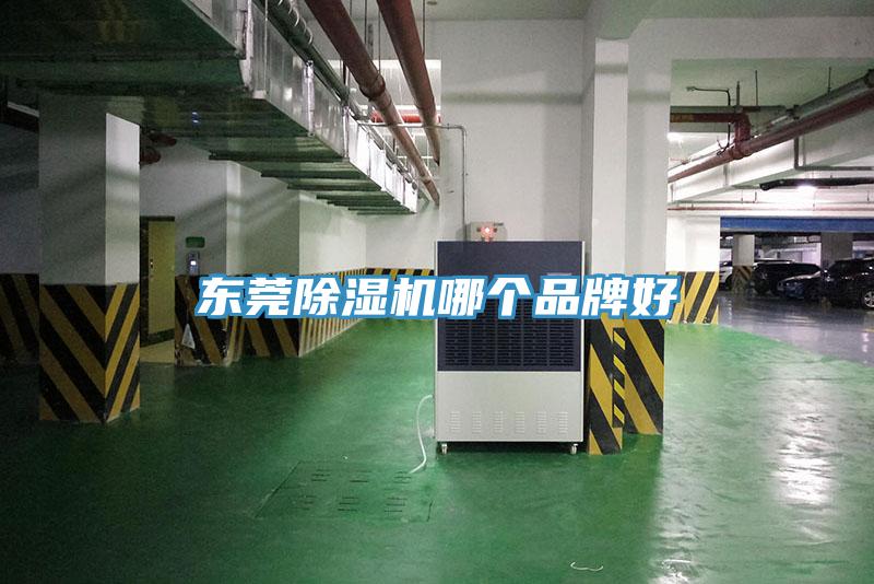 东莞猫咪成人官网哪个品牌好
