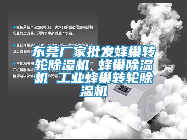 东莞厂家批发蜂巢转轮猫咪成人官网 蜂巢猫咪成人官网 工业蜂巢转轮猫咪成人官网