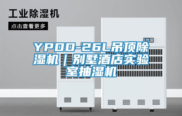 YPDD-26L吊顶猫咪成人官网｜别墅酒店实验室抽湿机