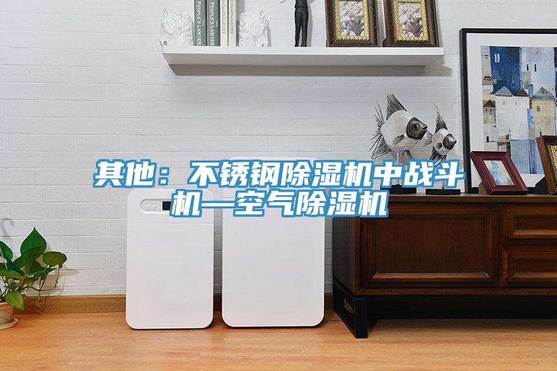 其他：不锈钢猫咪成人官网中战斗机—空气猫咪成人官网