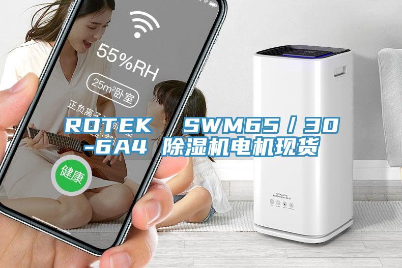 ROTEK  SWM65／30-6A4 猫咪成人官网电机现货