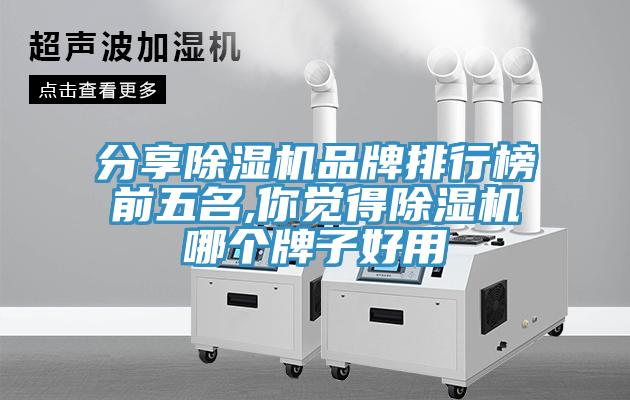 分享猫咪成人官网品牌排行榜前五名,你觉得猫咪成人官网哪个牌子好用