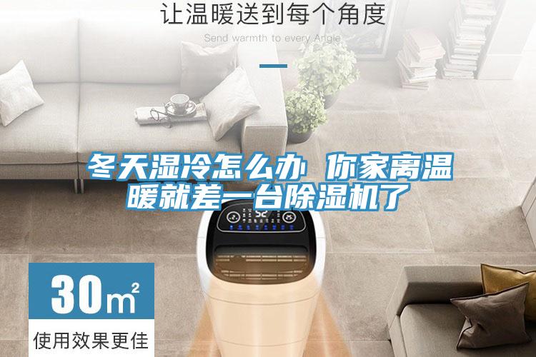 冬天湿冷怎么办 你家离温暖就差一台猫咪成人官网了