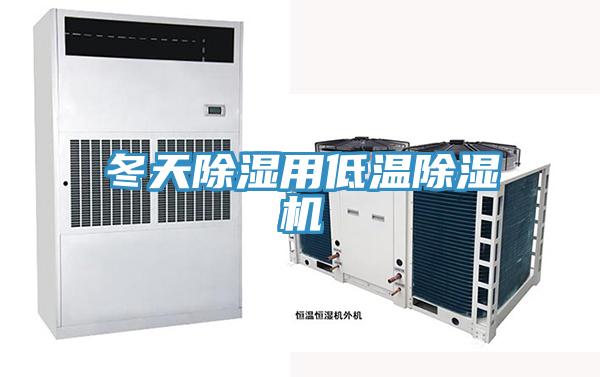 冬天除湿用低温猫咪成人官网