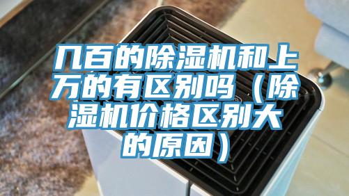 几百的猫咪成人官网和上万的有区别吗（猫咪成人官网价格区别大的原因）