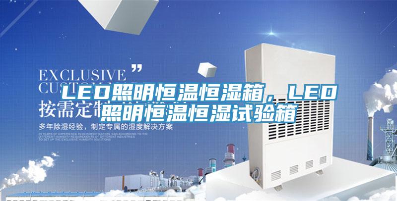 LED照明恒温恒湿箱，LED照明恒温恒湿试验箱