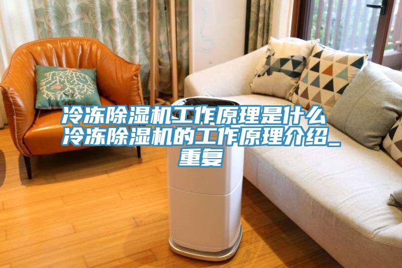 冷冻猫咪成人官网工作原理是什么 冷冻猫咪成人官网的工作原理介绍_重复
