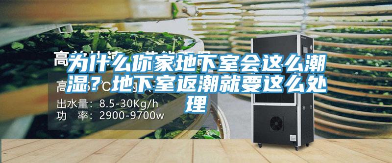 为什么你家地下室会这么潮湿？地下室返潮就要这么处理