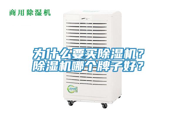 为什么要买猫咪成人官网？猫咪成人官网哪个牌子好？