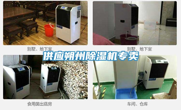 供应朔州猫咪成人官网专卖