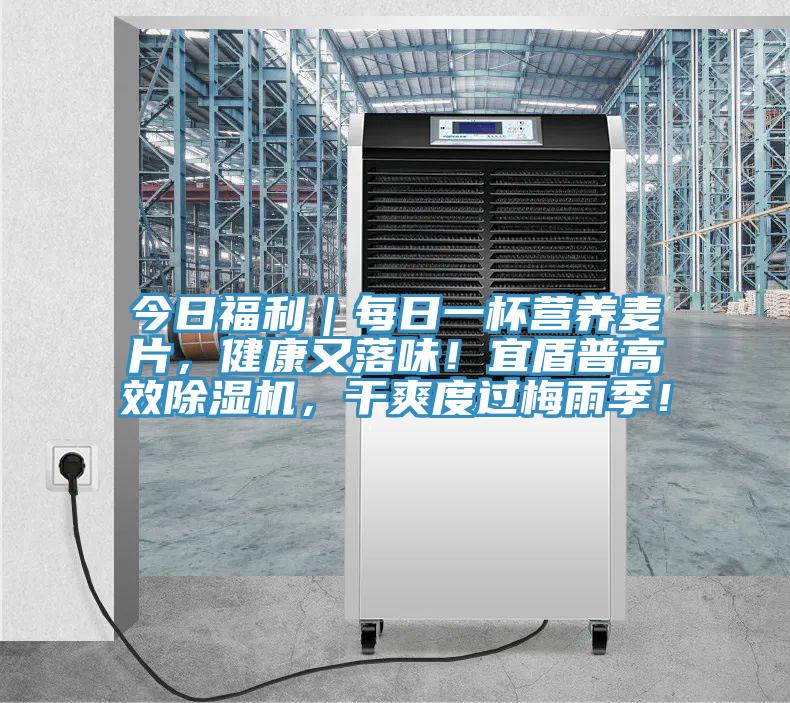 今日福利｜每日一杯营养麦片，健康又落味！宜盾普高效猫咪成人官网，干爽度过梅雨季！