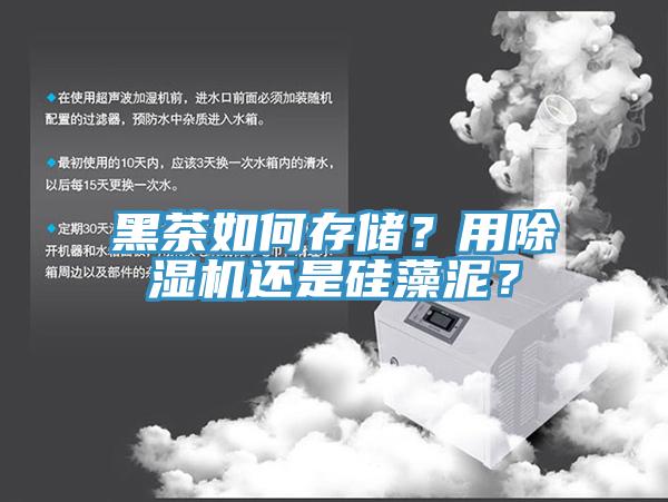 黑茶如何存储？用猫咪成人官网还是硅藻泥？