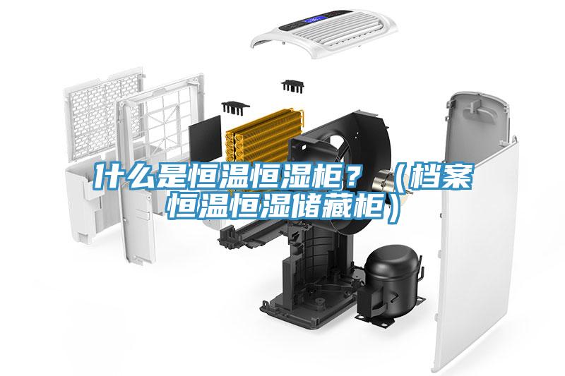 什么是恒温恒湿柜？（档案恒温恒湿储藏柜）