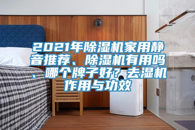 2021年猫咪成人官网家用静音推荐、猫咪成人官网有用吗、哪个牌子好？去湿机作用与功效