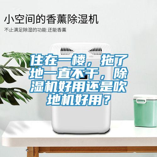 住在一楼，拖了地一直不干，猫咪成人官网好用还是吹地机好用？