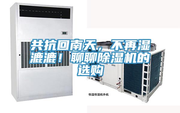 共抗回南天，不再湿漉漉！聊聊猫咪成人官网的选购