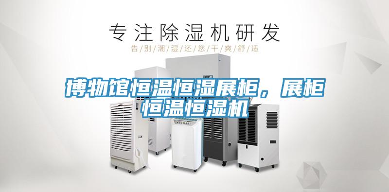 博物馆恒温恒湿展柜，展柜恒温恒湿机