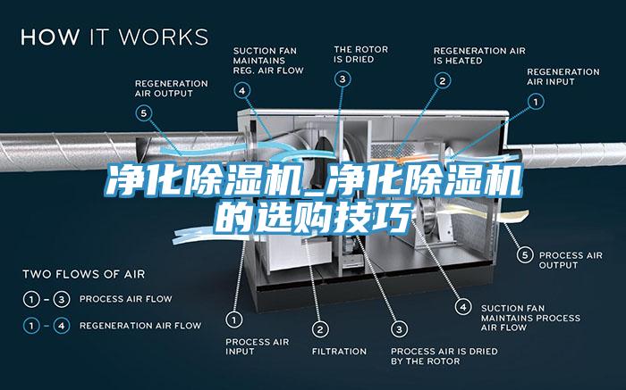 净化猫咪成人官网_净化猫咪成人官网的选购技巧