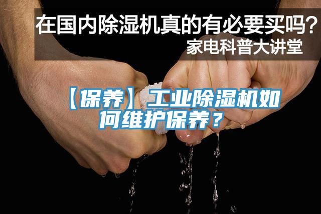 【保养】工业猫咪成人官网如何维护保养？