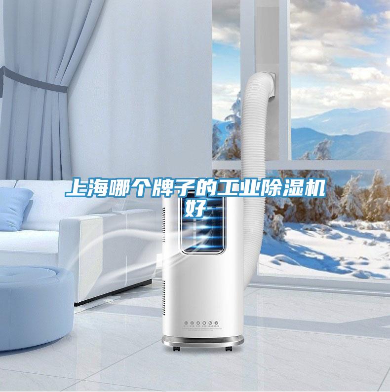 上海哪个牌子的工业猫咪成人官网好