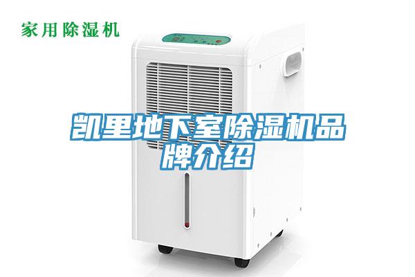 凯里地下室猫咪成人官网品牌介绍