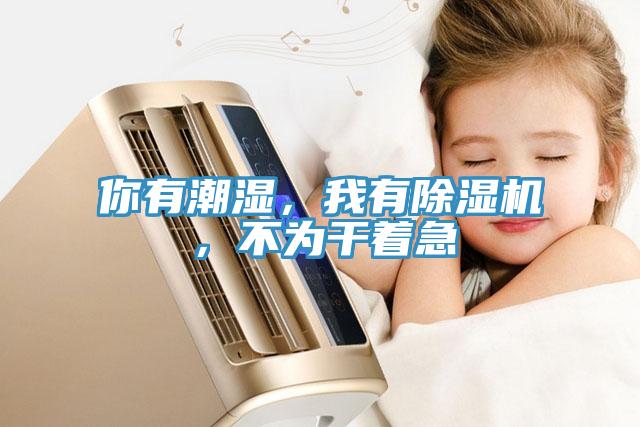 你有潮湿，我有猫咪成人官网，不为干着急