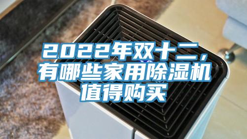 2022年双十二，有哪些家用猫咪成人官网值得购买