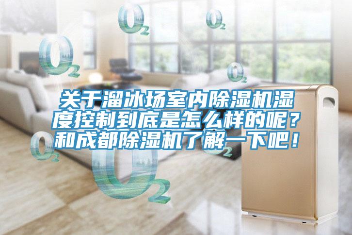 关于溜冰场室内猫咪成人官网湿度控制到底是怎么样的呢？和成都猫咪成人官网了解一下吧！