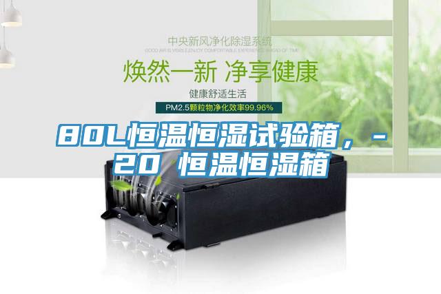 80L恒温恒湿试验箱，-20℃恒温恒湿箱