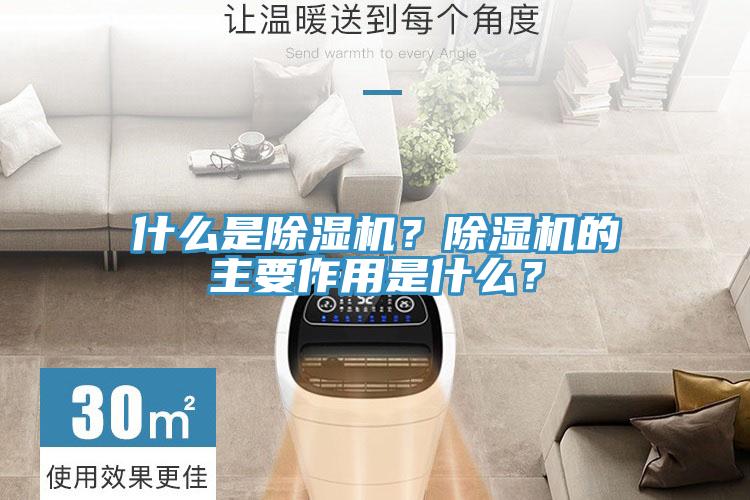 什么是猫咪成人官网？猫咪成人官网的主要作用是什么？
