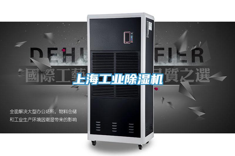 上海工业猫咪成人官网