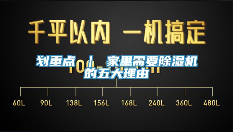 划重点 ｜ 家里需要猫咪成人官网的五大理由