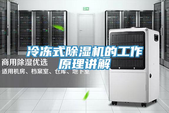 冷冻式猫咪成人官网的工作原理讲解