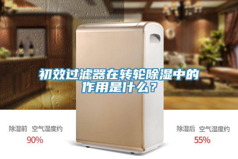 初效过滤器在转轮除湿中的作用是什么？