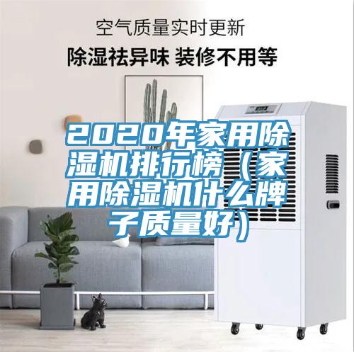 2020年家用猫咪成人官网排行榜（家用猫咪成人官网什么牌子质量好）