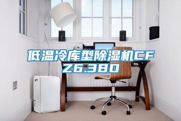 低温冷库型猫咪成人官网CFZ6.3BD