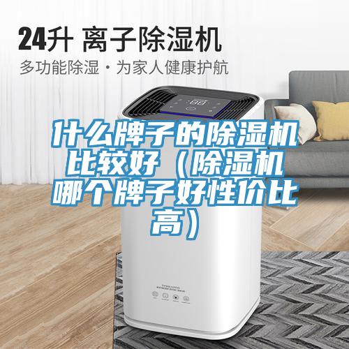 什么牌子的猫咪成人官网比较好（猫咪成人官网哪个牌子好性价比高）