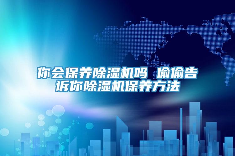你会保养猫咪成人官网吗 偷偷告诉你猫咪成人官网保养方法