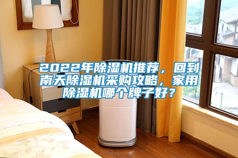 2022年猫咪成人官网推荐，回到南天猫咪成人官网采购攻略，家用猫咪成人官网哪个牌子好？