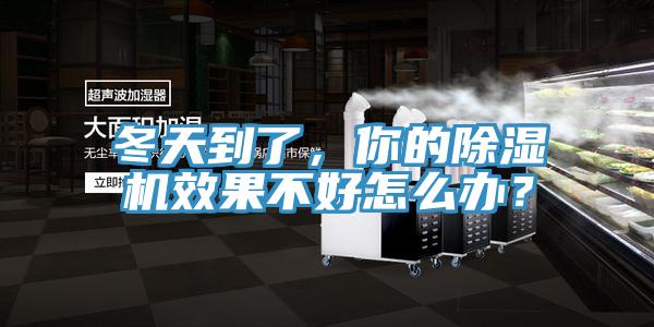 冬天到了，你的猫咪成人官网效果不好怎么办？