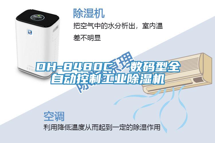 DH-8480C  数码型全自动控制工业猫咪成人官网