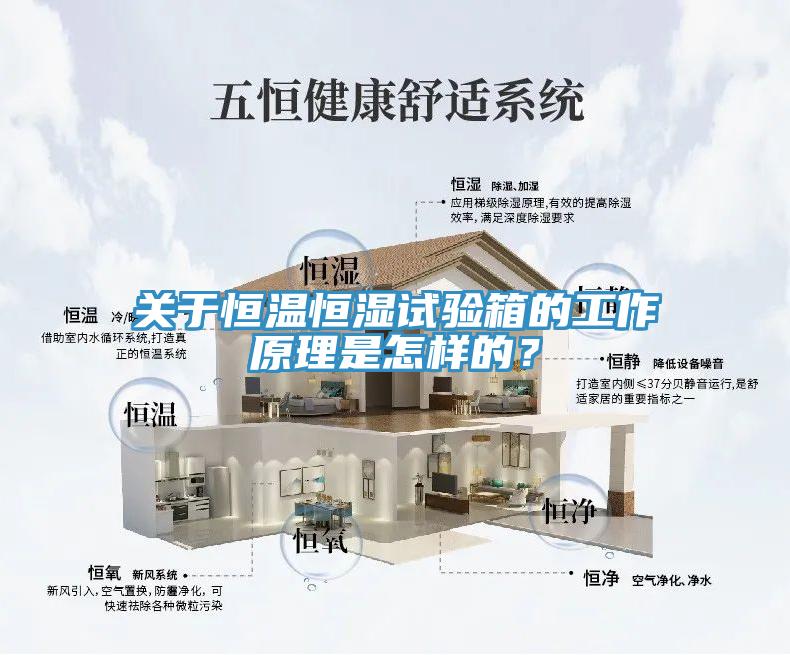 关于恒温恒湿试验箱的工作原理是怎样的？