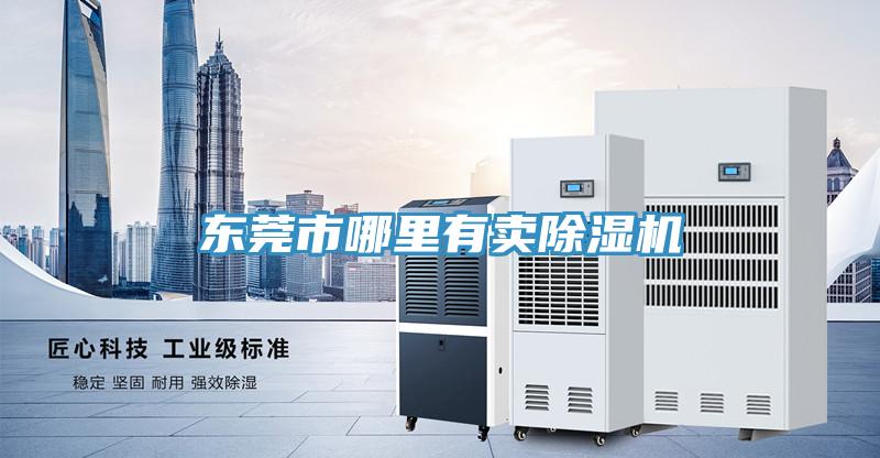 东莞市哪里有卖猫咪成人官网